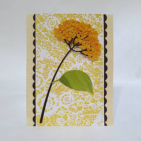 IMG_0920_m IMG_0920_m