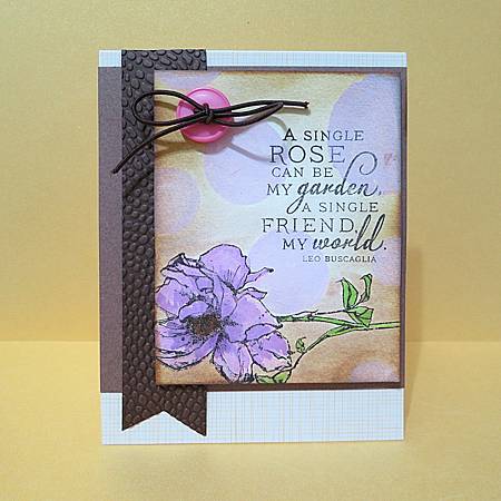 IMG_1107_m IMG_1107_m