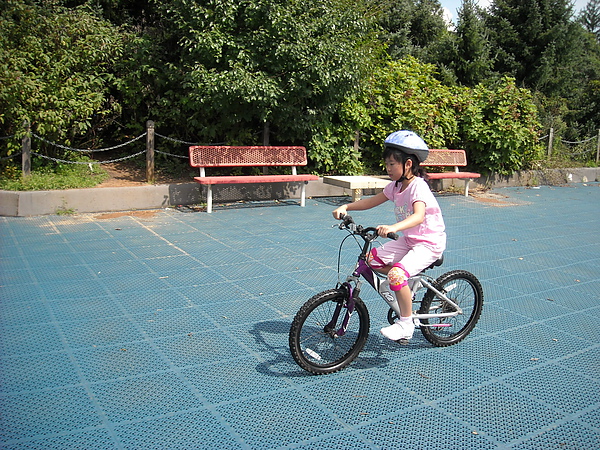 DSCN3950.JPG DSCN3950.JPG