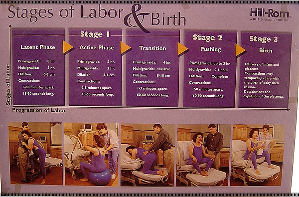 Stages of Labor & Birth