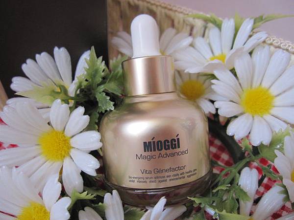 照片 9034 照片 9034