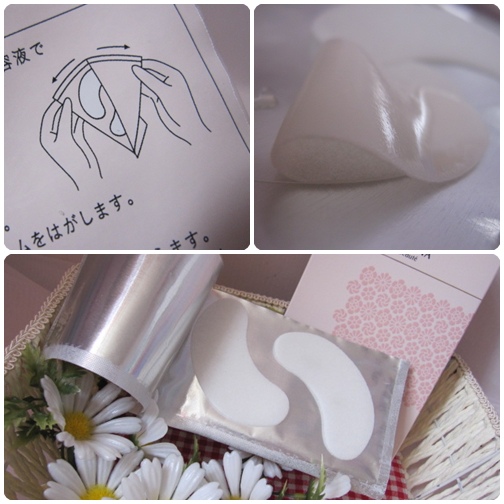 照片 9249 照片 9249