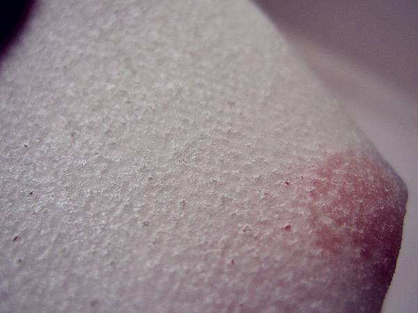 照片 11026 照片 11026