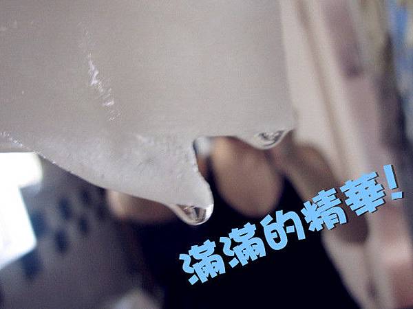 照片 11003 照片 11003