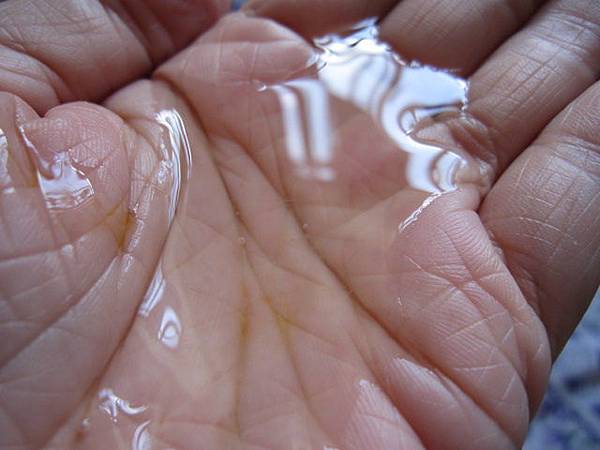 照片 11497 照片 11497