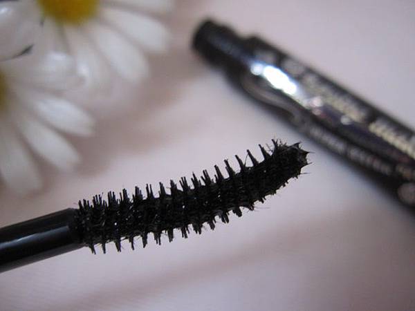 照片 11781 照片 11781