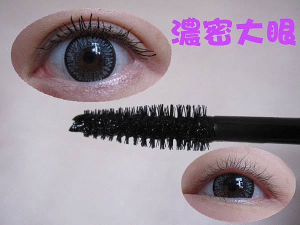 照片 11842_副本 照片 11842_副本