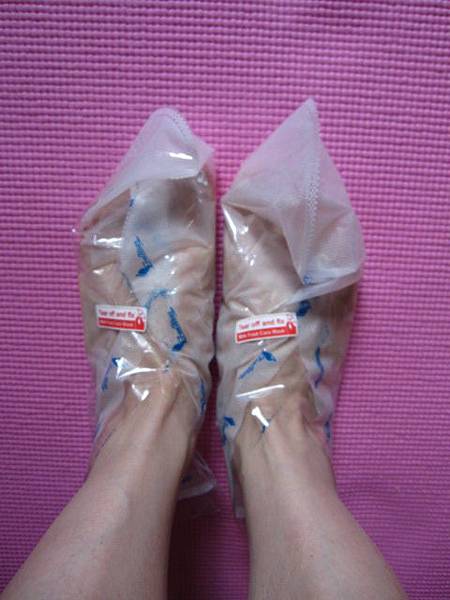 照片 12522 照片 12522