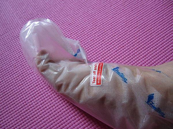 照片 12521 照片 12521