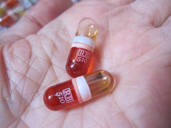 照片 12624 照片 12624