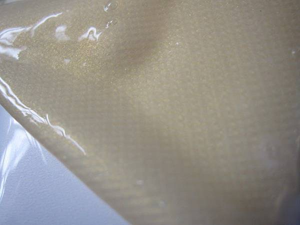 照片 12616 照片 12616