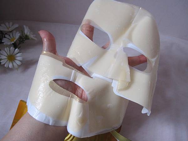 照片 12614 照片 12614