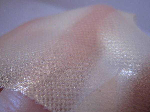 照片 12623 照片 12623