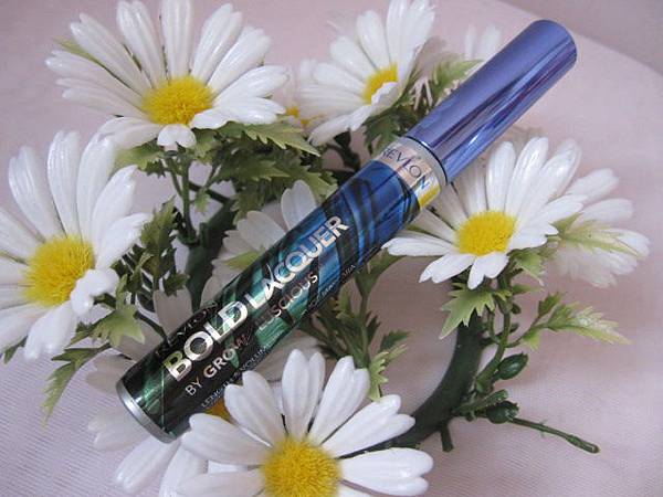 照片 12701 照片 12701