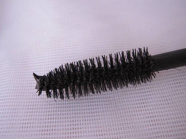 照片 12596 照片 12596