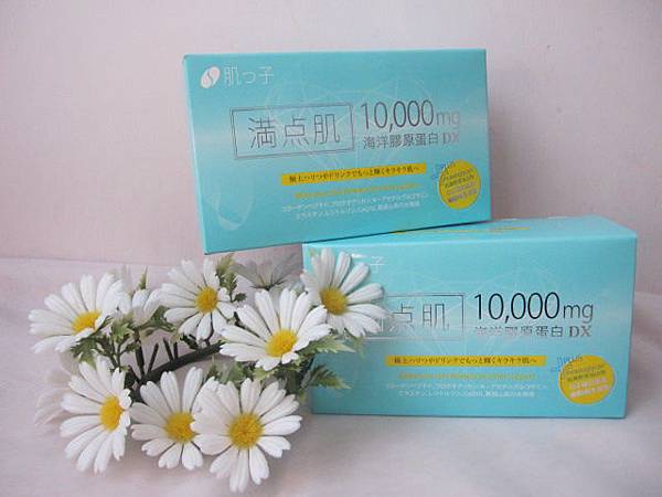 照片 12585 照片 12585