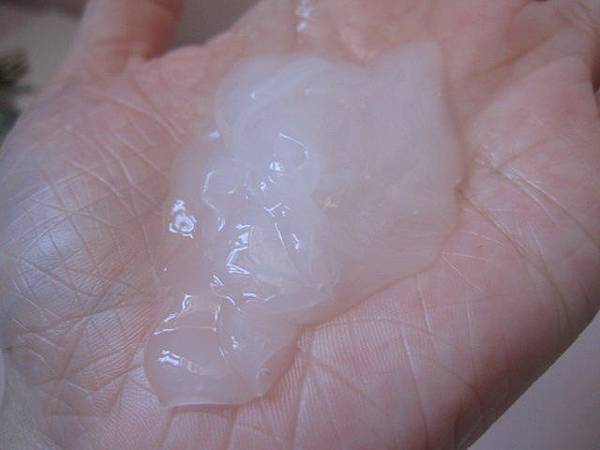 照片 12725 照片 12725