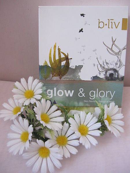 照片 12706 照片 12706