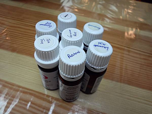 照片 12777 照片 12777