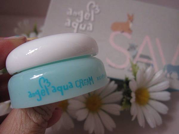 照片 12613 照片 12613