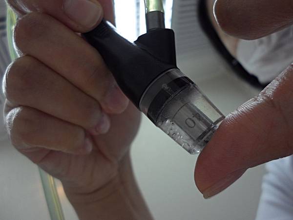 照片 12462 照片 12462