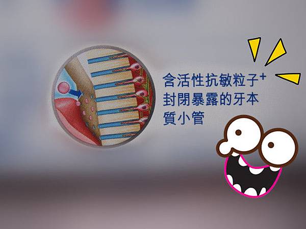 照片 13219 照片 13219