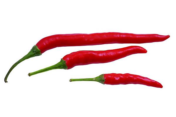 honglajiao_jianjiao honglajiao_jianjiao