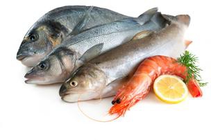 fish-seafood-304