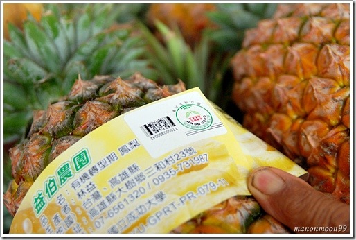 DSC_4533-1 DSC_4533-1