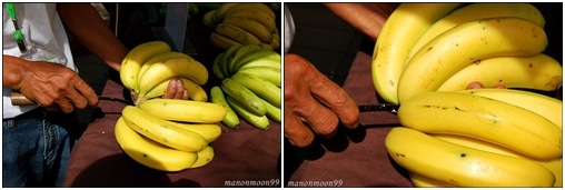 DSC_3963-horz DSC_3963-horz