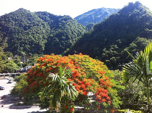 IMG_1030.JPG IMG_1030.JPG