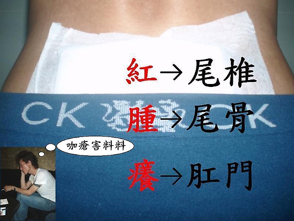 青春陽光歡笑 青春陽光歡笑