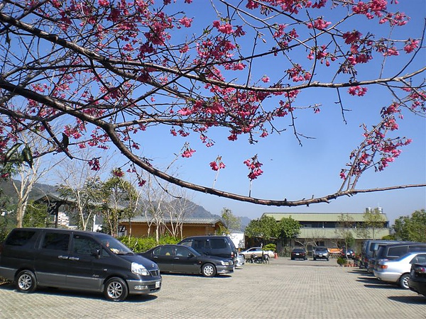 20110206太湖溫泉會館 (7).JPG 20110206太湖溫泉會館 (7).JPG