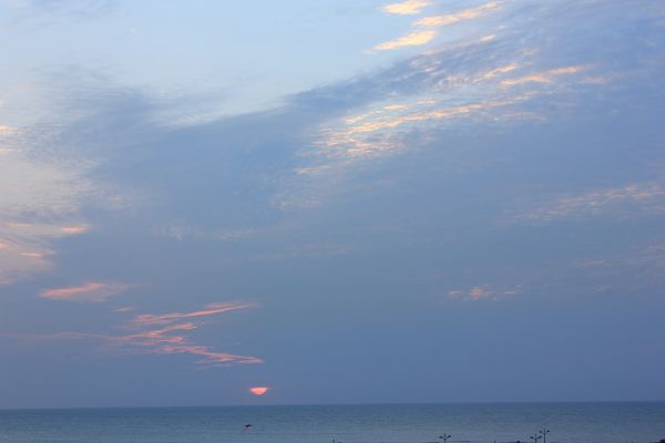 IMG_9747-1 IMG_9747-1