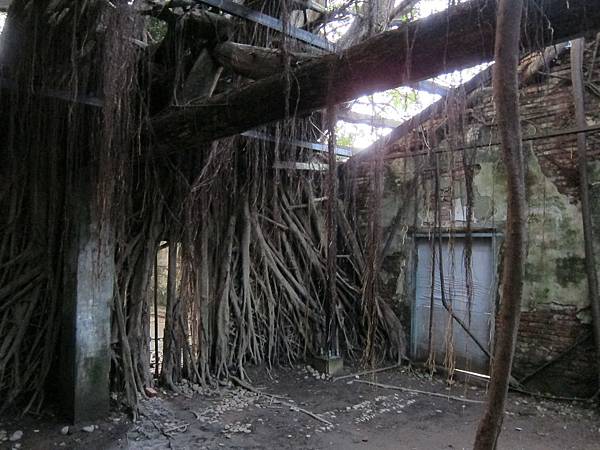 安平樹屋 安平樹屋