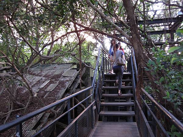 安平樹屋 安平樹屋