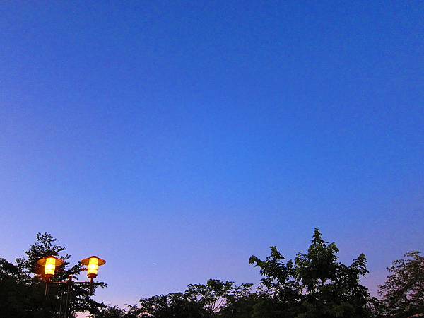 安平樹屋 安平樹屋