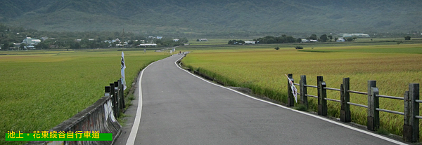 台東。池上,花東縱谷自行車道 台東。池上,花東縱谷自行車道