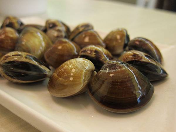 蛤蜊 IMG_3979