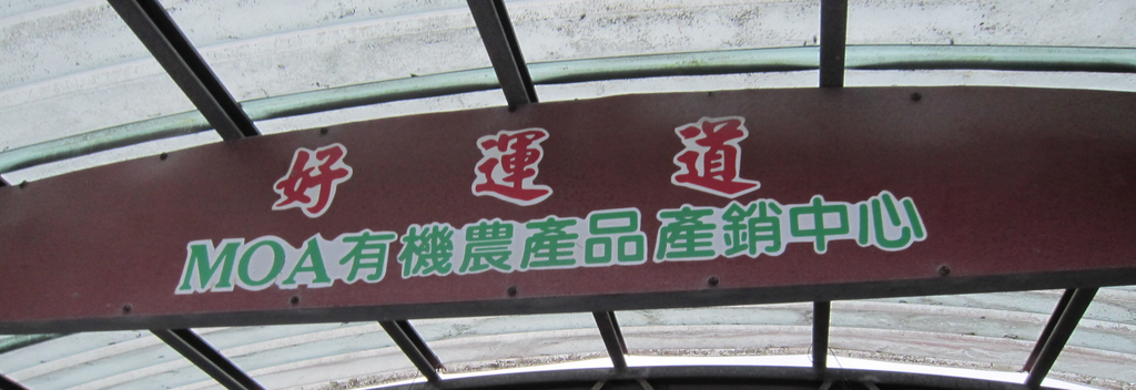 遊記 台東 好運道民宿 遊記 台東 好運道民宿