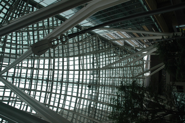 DSC_3384.JPG DSC_3384.JPG