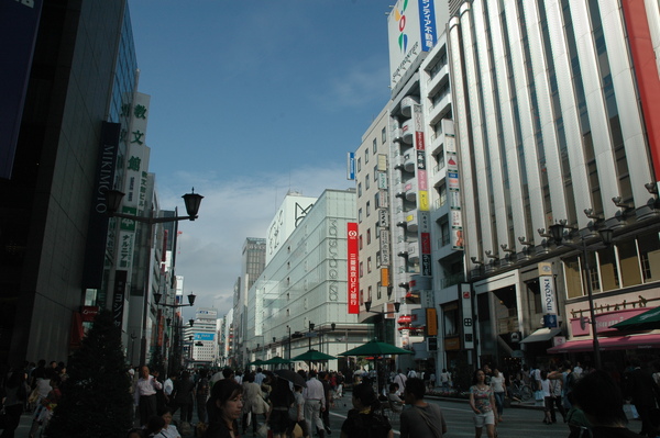 DSC_3513.JPG DSC_3513.JPG