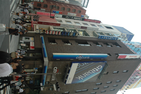 DSC_3555.JPG DSC_3555.JPG