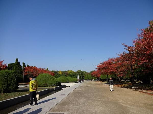 DSC02343 (1280x960) DSC02343 (1280x960)