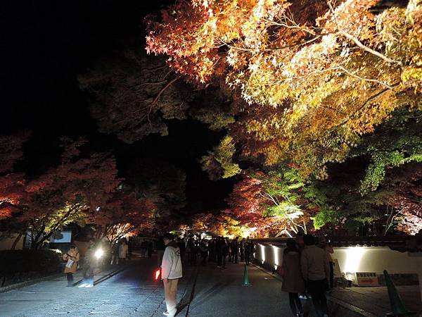 DSCN1227 (1280x960) DSCN1227 (1280x960)