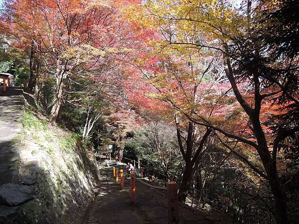 DSCN1388 (1280x960) DSCN1388 (1280x960)