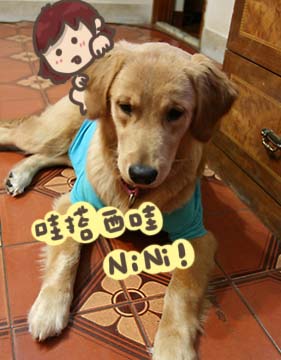 0729_nini01.jpg 0729_nini01.jpg