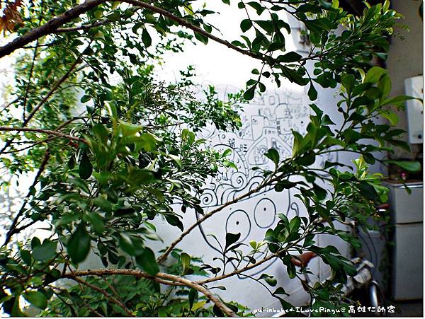 22樹.JPG