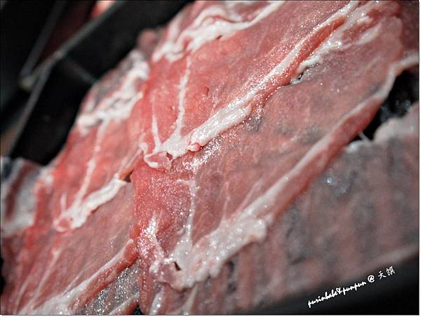 16梅花豬.JPG 16梅花豬.JPG