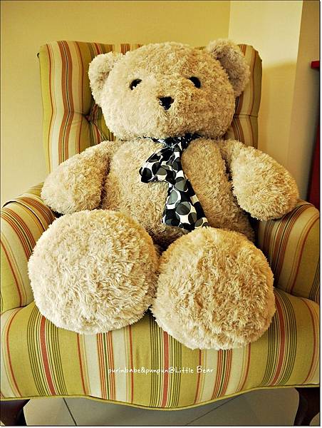 5熊寶貝.JPG